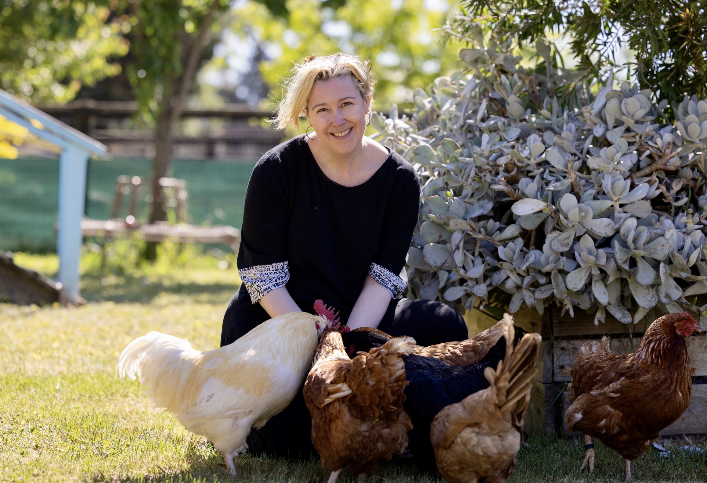 Picture of Vegan Australia CEO Dr Heidi Nicholl kneeling. She is wearing a black dress with rescued chickens feeding from her hands