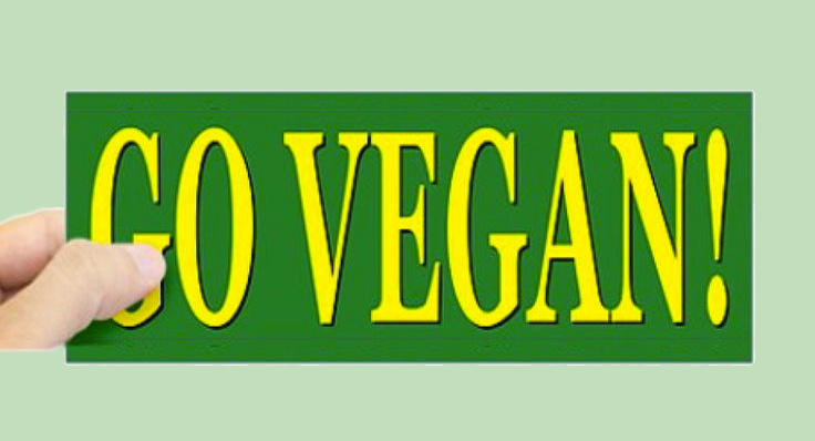 How do we best promote veganism? - Casey Taft