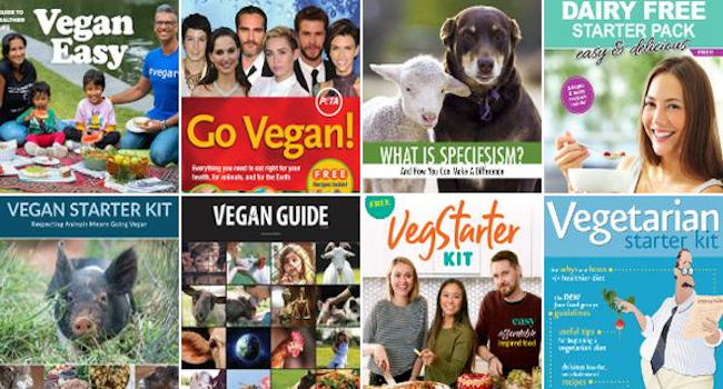 Our top 8 vegan starter kits