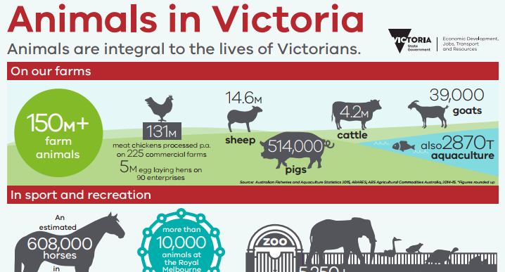 New Victorian Animal Welfare 