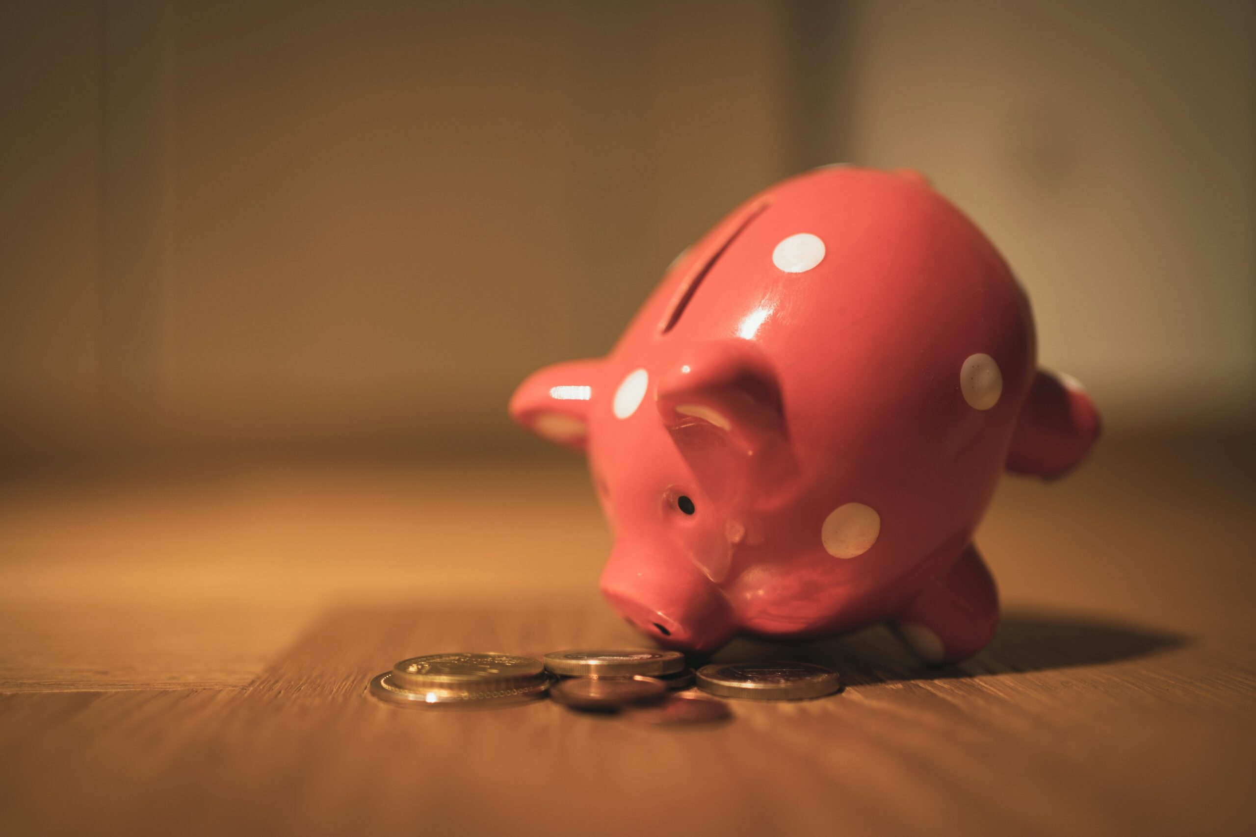 economy and piggy bank