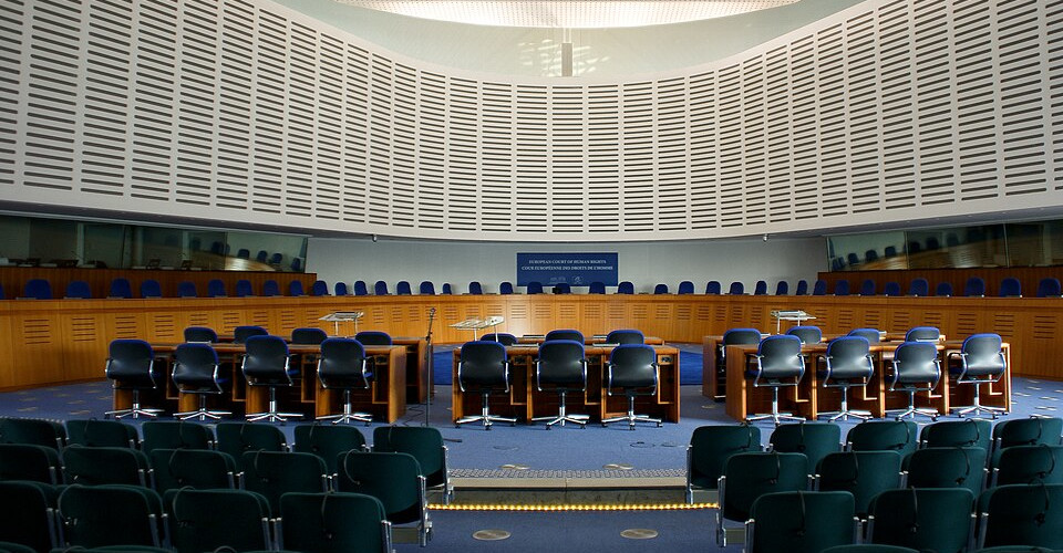 Courts recognise vegan rights in landmark decisions