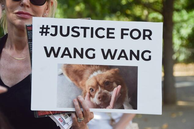 Justice for Wangwang must mean justice for all animals